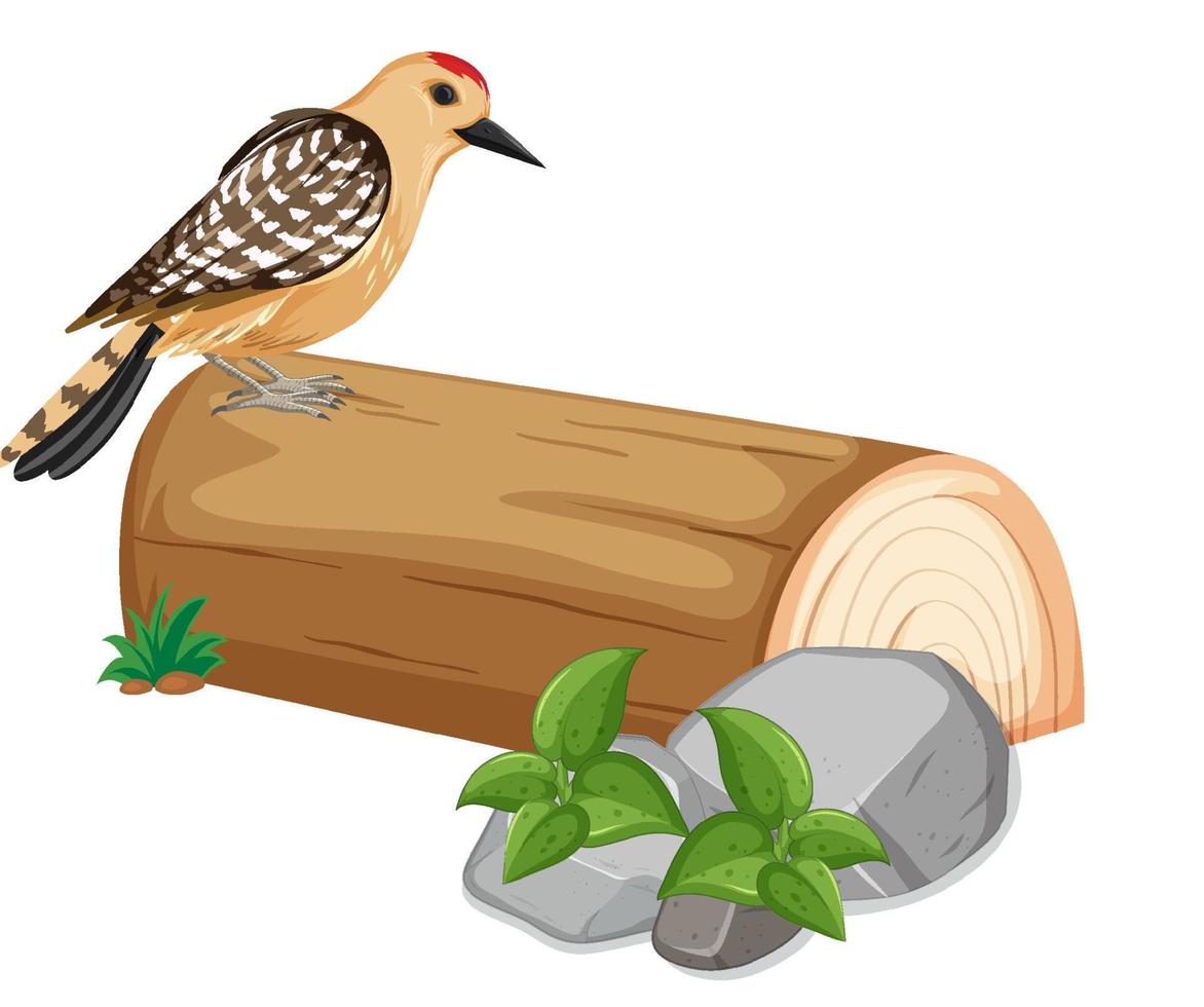 Cute bird standing on log vector