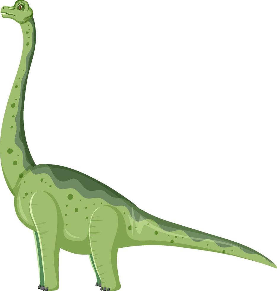 dinosaurio braquiosaurio sobre fondo blanco vector