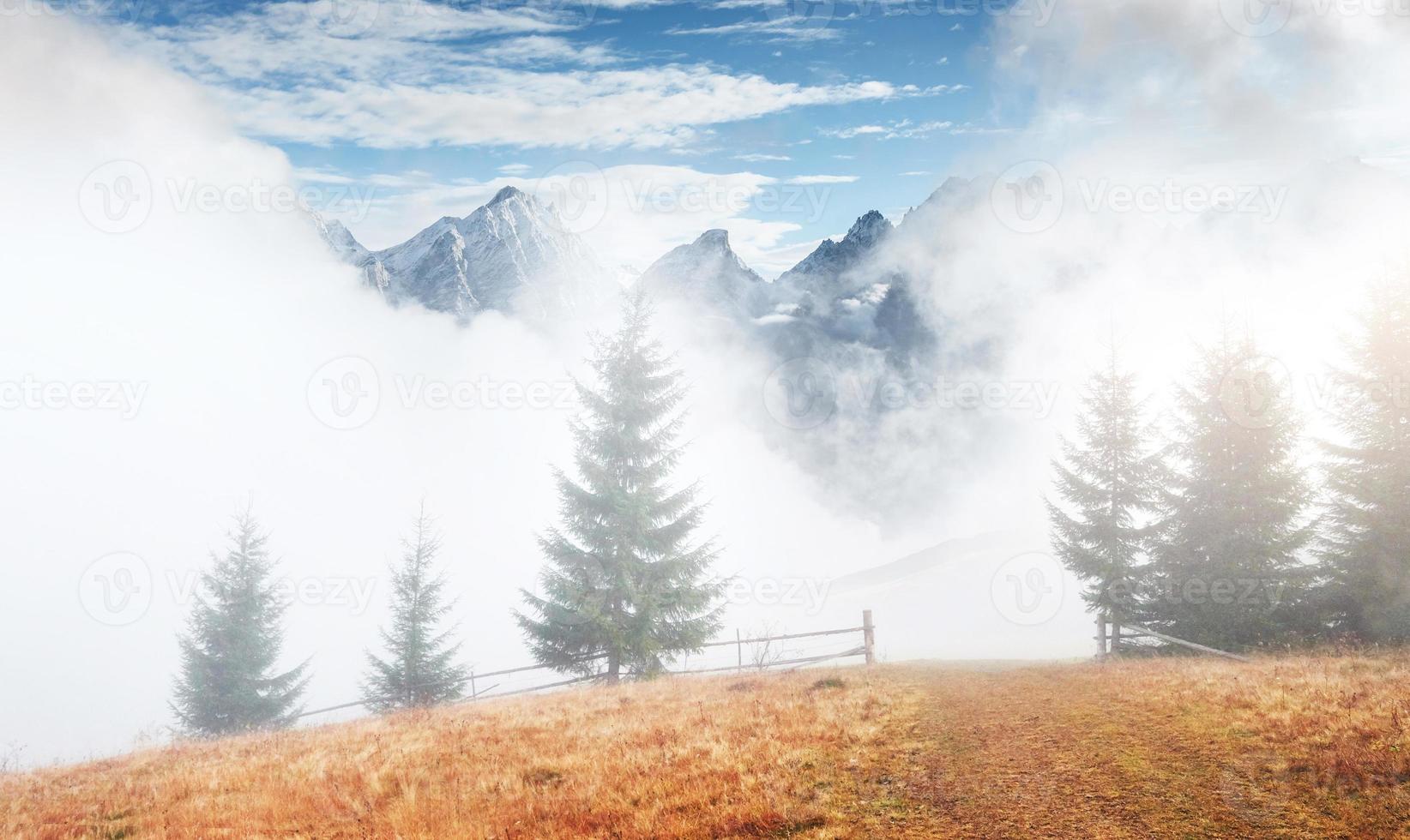 Morning fog creeps with scraps over autumn mountain forest covered in gold leaves. Snowy peaks of majestic mountains in the background photo