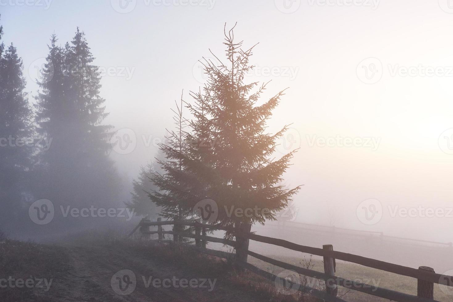 Foggy morning in the Ukrainian Carpathian Mountains in the autumn season photo