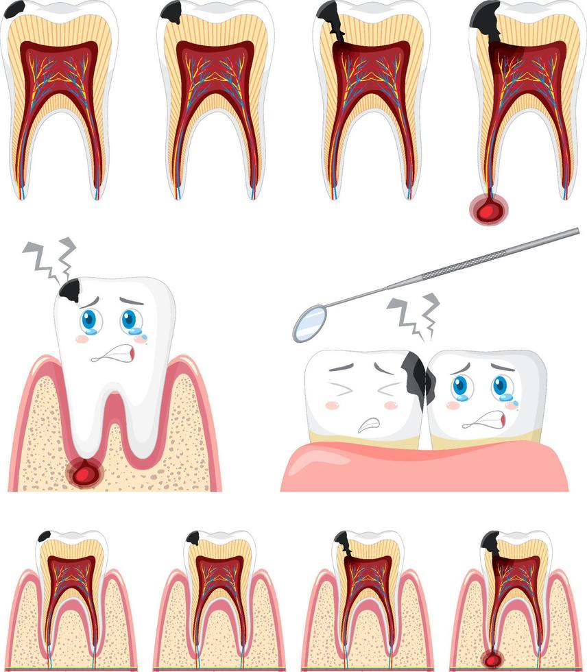 conjunto de todo tipo de dientes sobre fondo blanco vector