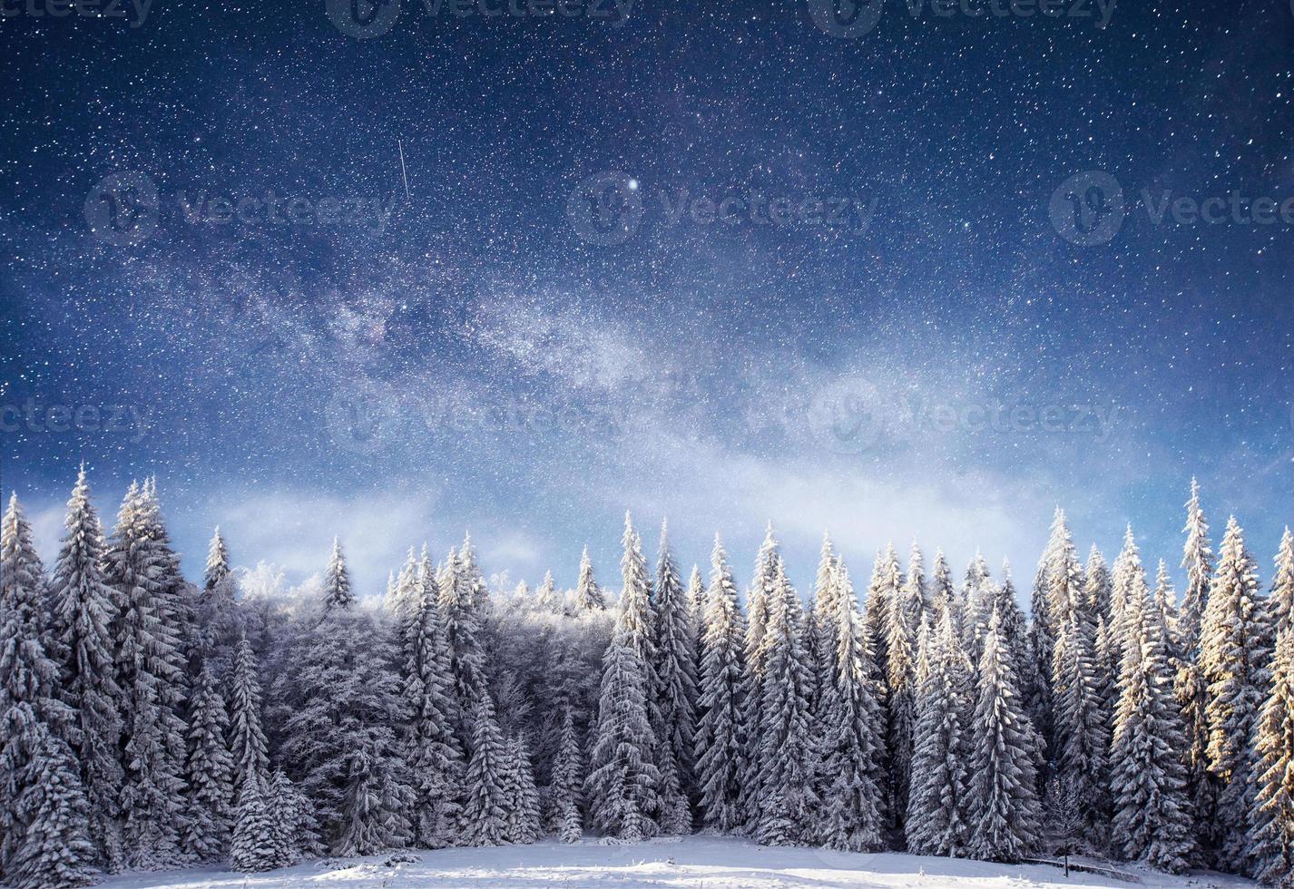 magical winter snow covered tree. Winter landscape. The winter lake is frozen on the front photo