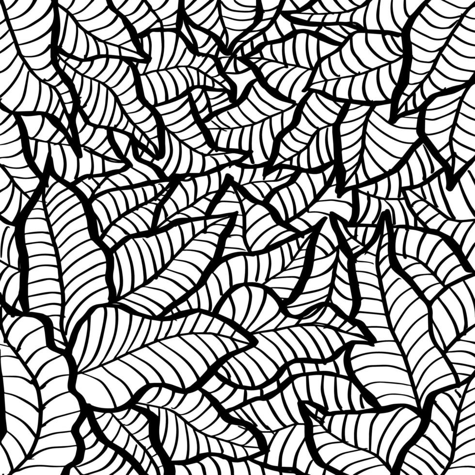 línea de hojas dibujadas a mano vector