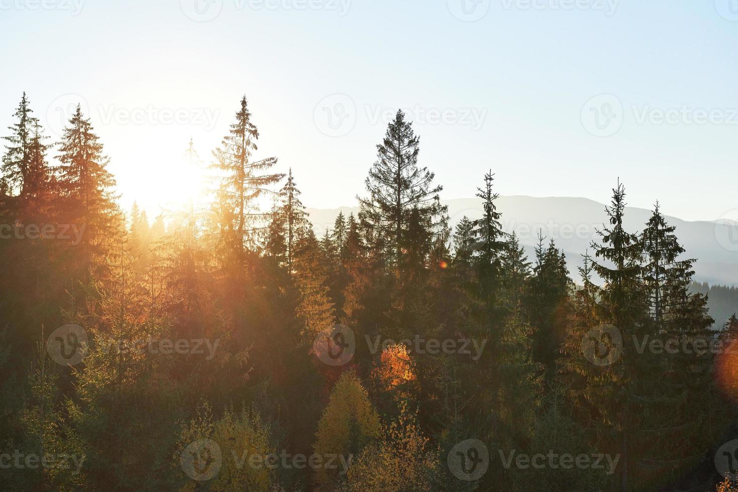 the mountain autumn landscape with colorful forest photo