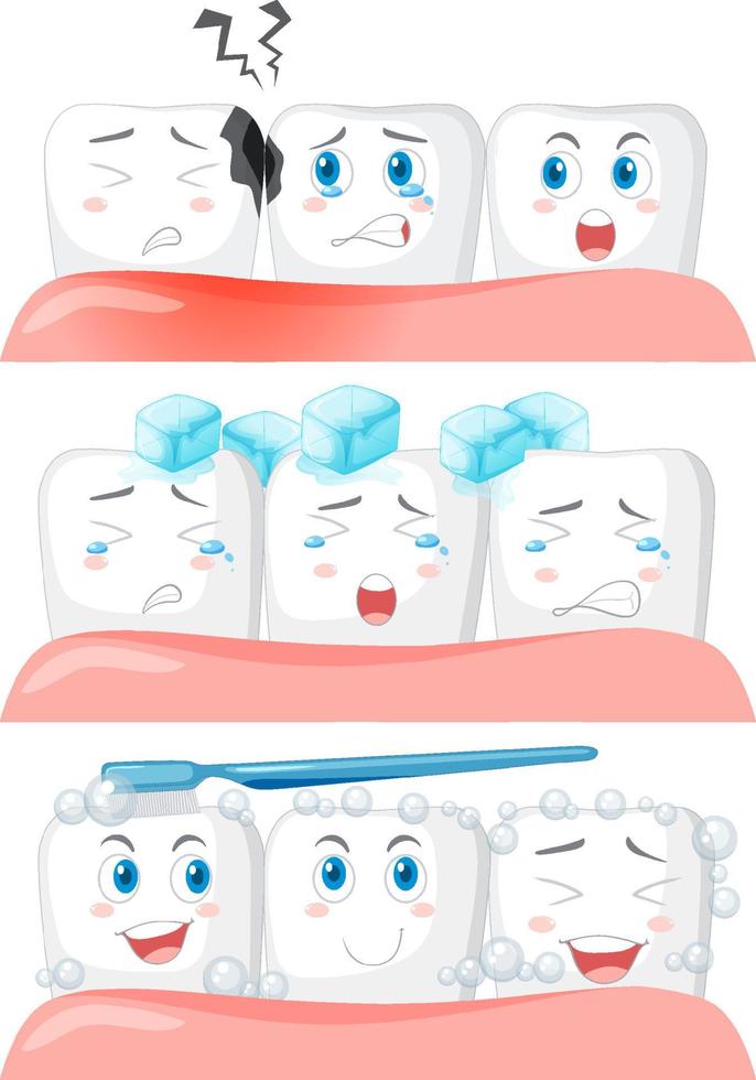 Set of all types of teeth on white background vector