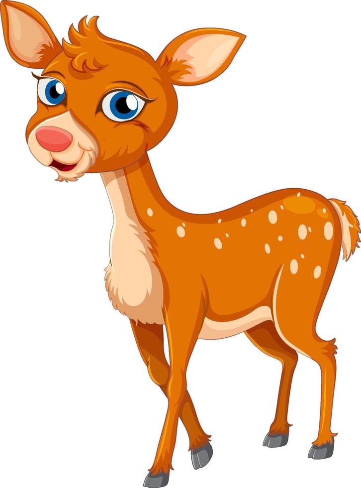 A cute deer on white background vector