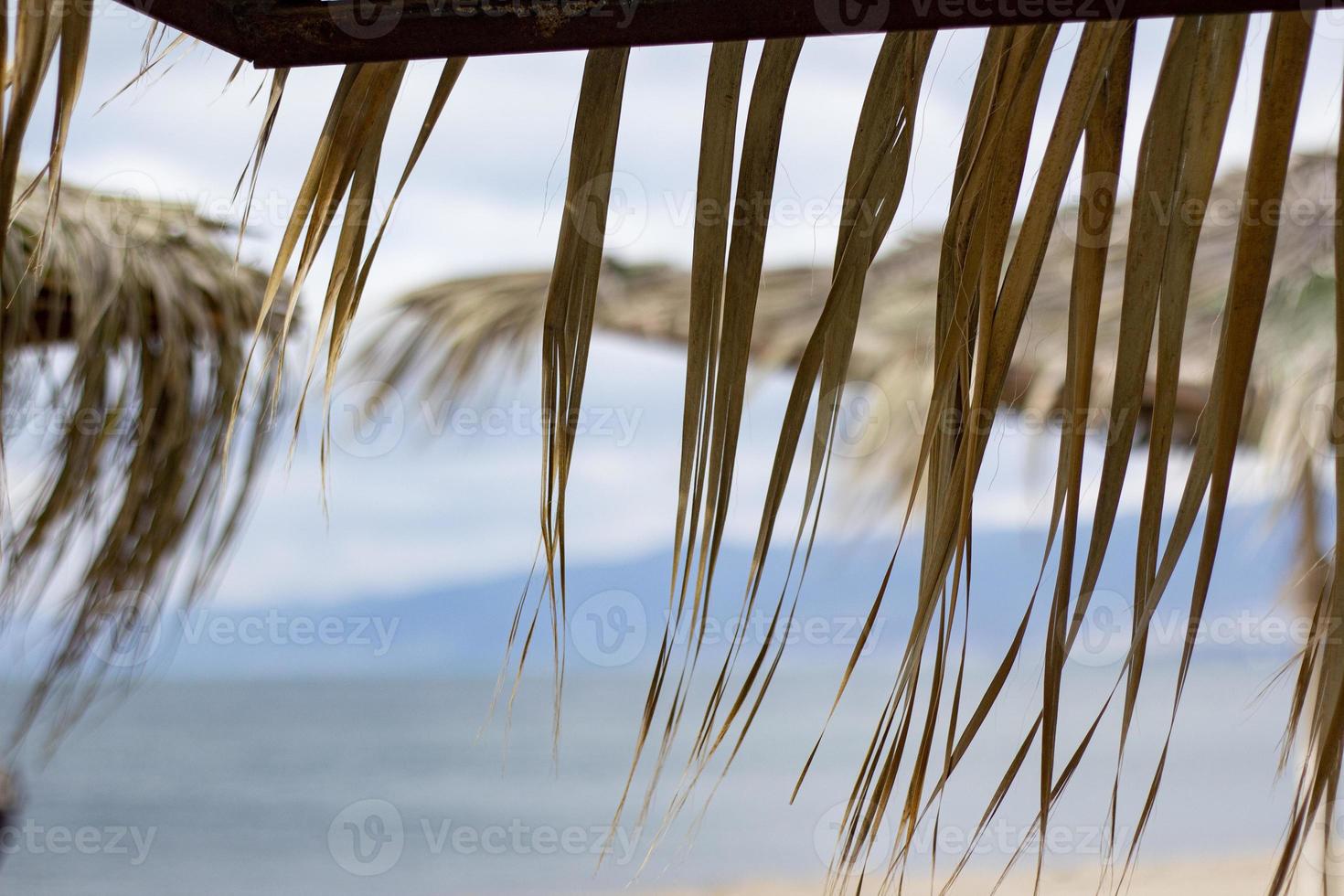 exotic beach on the beach with parasol. A lonely empty beach umbrella made of reeds. Beautiful dry branches of palm trees on the roof against the backdrop of the beach. photo