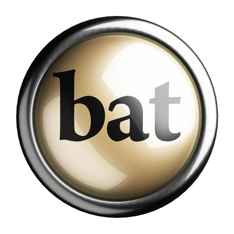 bat word on isolated button photo