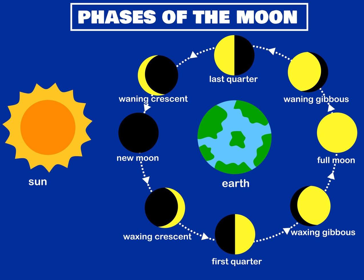 Phases of the moon.Lunar phase.Earth and sun.Luna The lunar cycle change.Night sky.Infographic.Eclipse concept.Planets in solar system.Cartoon vector illustration.