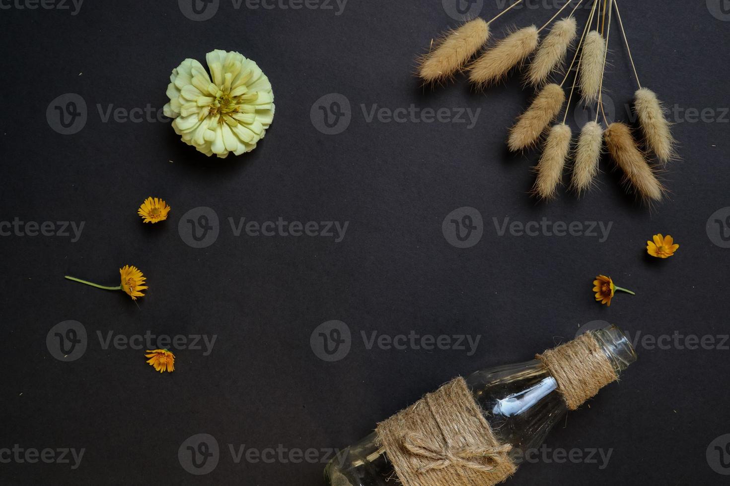 Colorful zinnia flower in flat lay arrangement on black background isolated. Flat lay, top view, empty space for copied text. photo