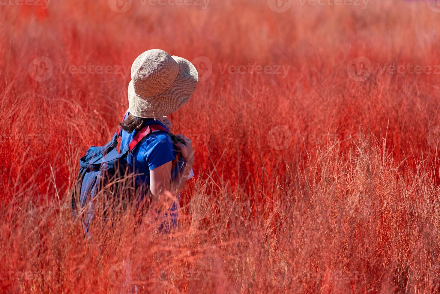 Portrait of Woman Walking in Red Meadow in Summer photo