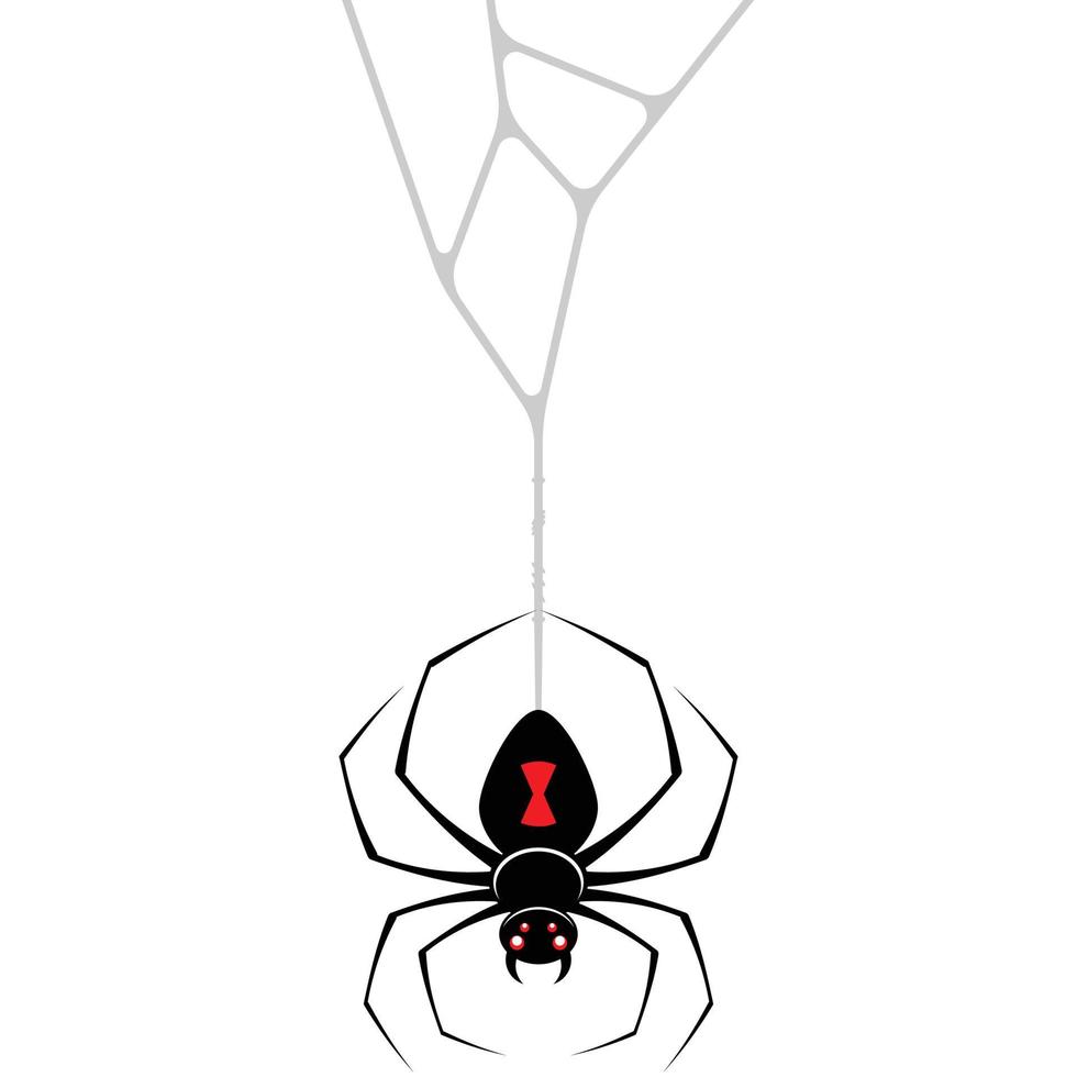 Black widow spider design vector