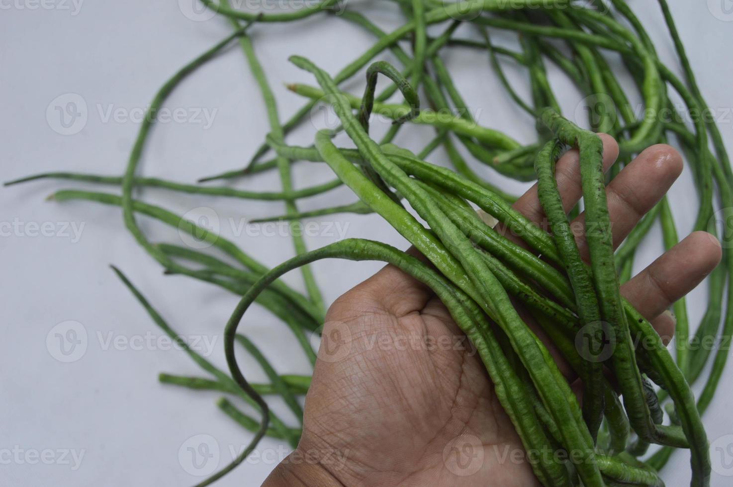 hand holding string beans on a white background. food material. source of vitamins. food menu for iftar. photo