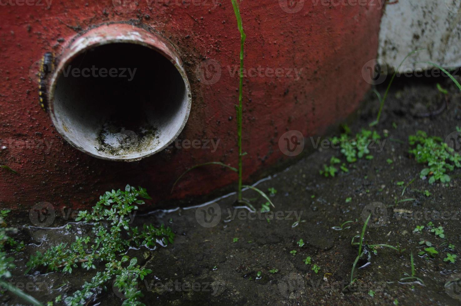 Pipe is a place for the final disposal of rainwater from above the house. simple building. photo