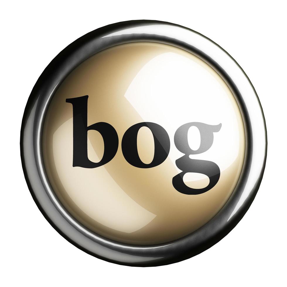 bog word on isolated button photo