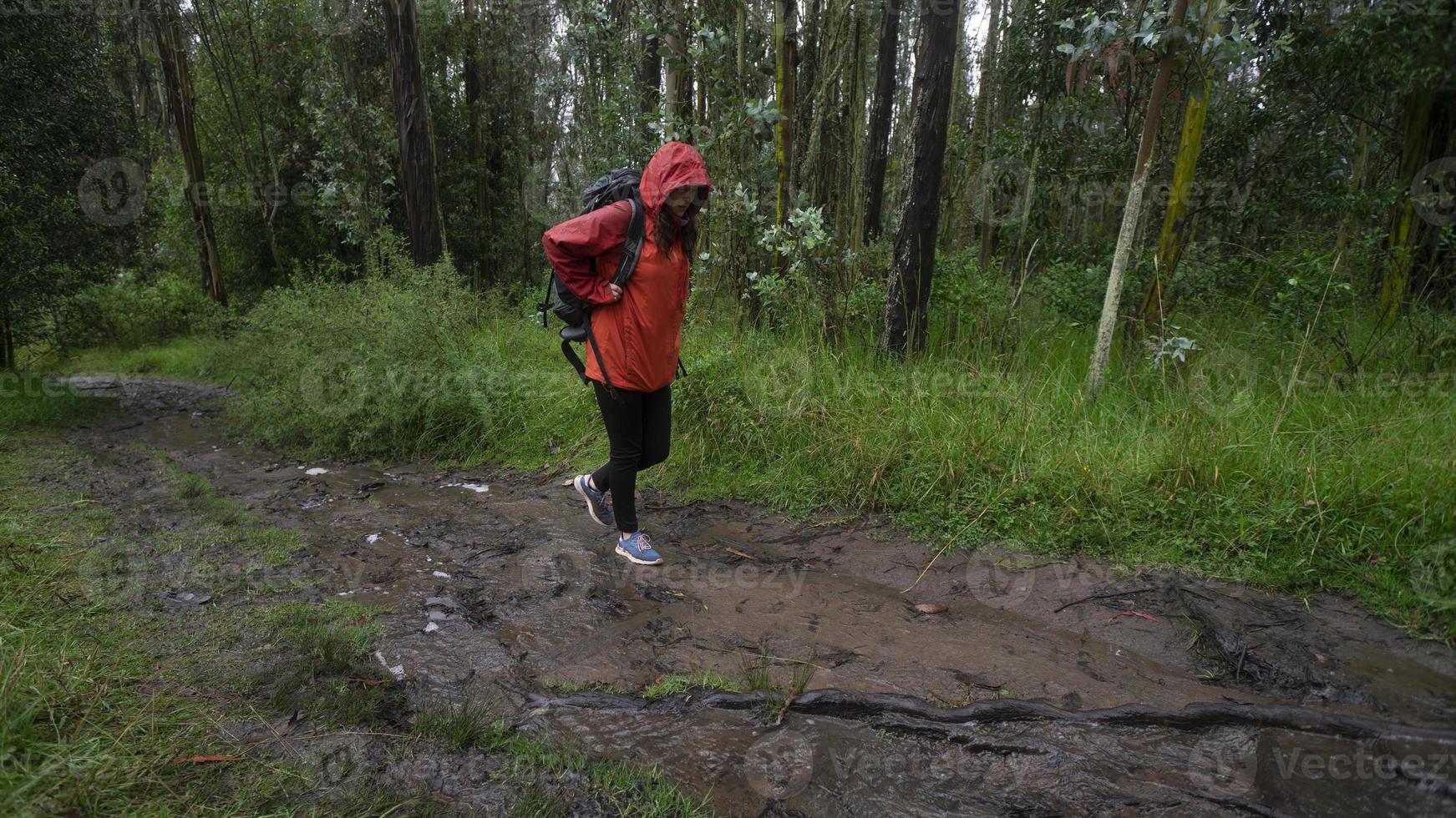 Hispanic woman with black backpack and red waterproof jacket walking on a muddy trail through a forest during the day photo
