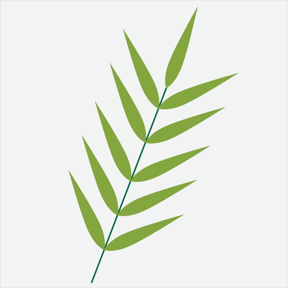 simplicity floral leaf drawing flat design. vector