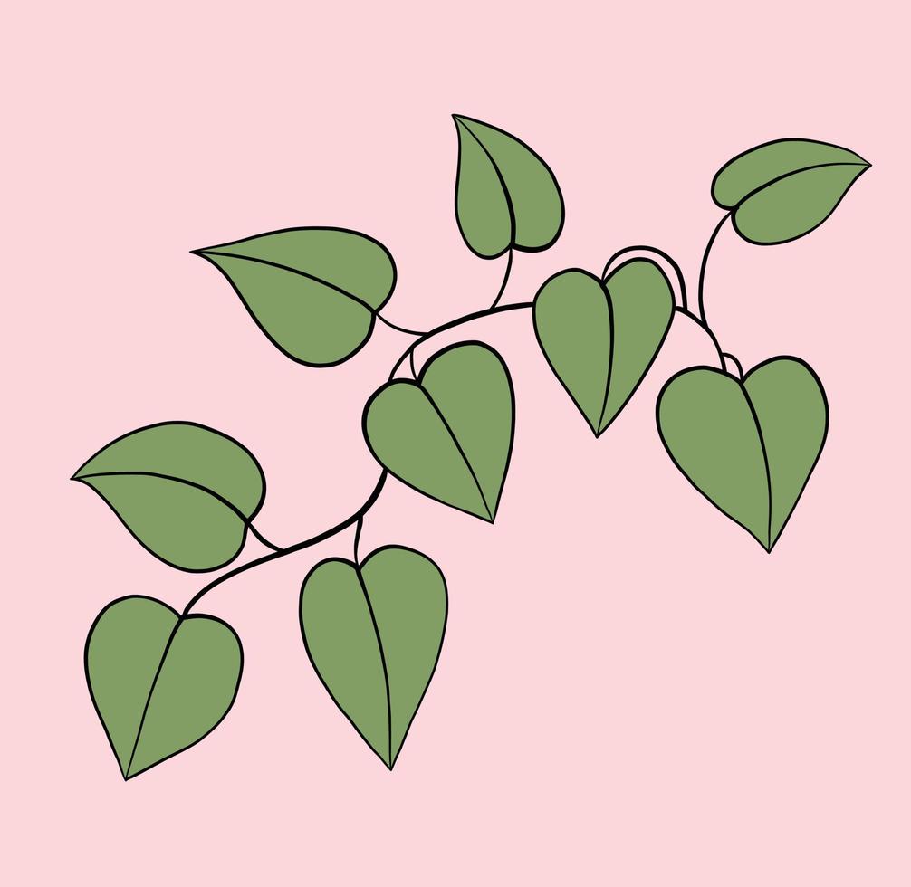 Simplicity ivy freehand drawing flat design. vector