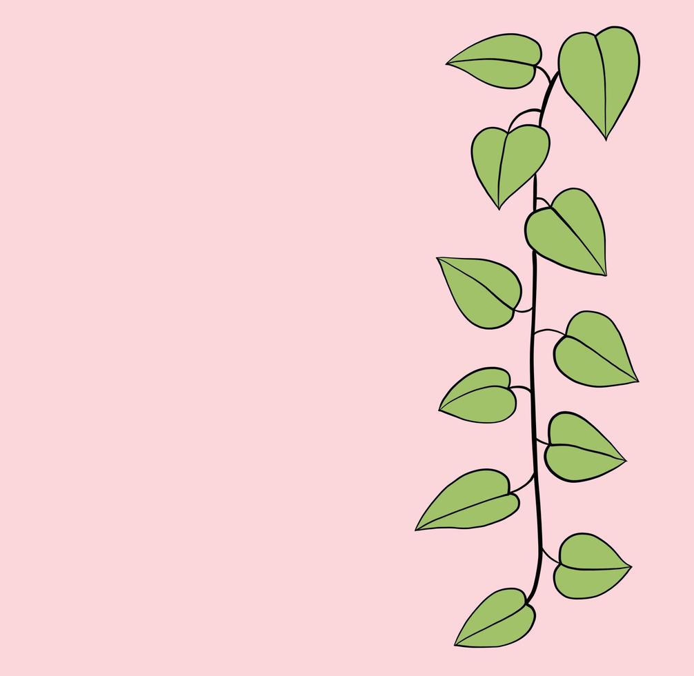 Simplicity ivy freehand drawing flat design. vector