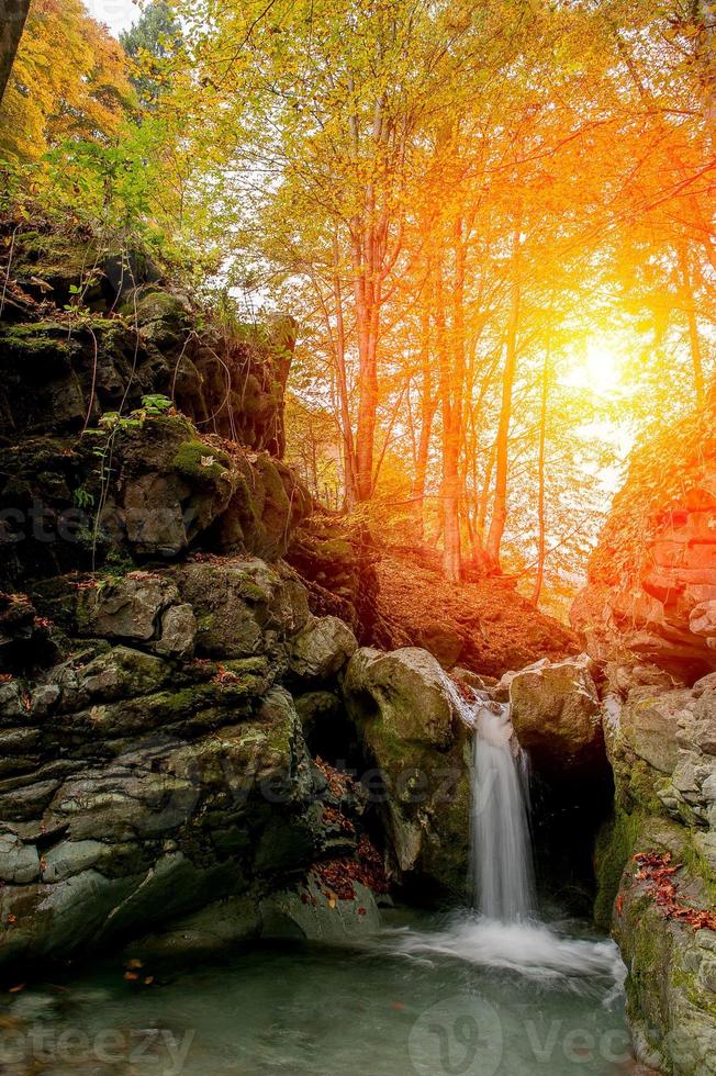 agua en el bosque en otoño foto