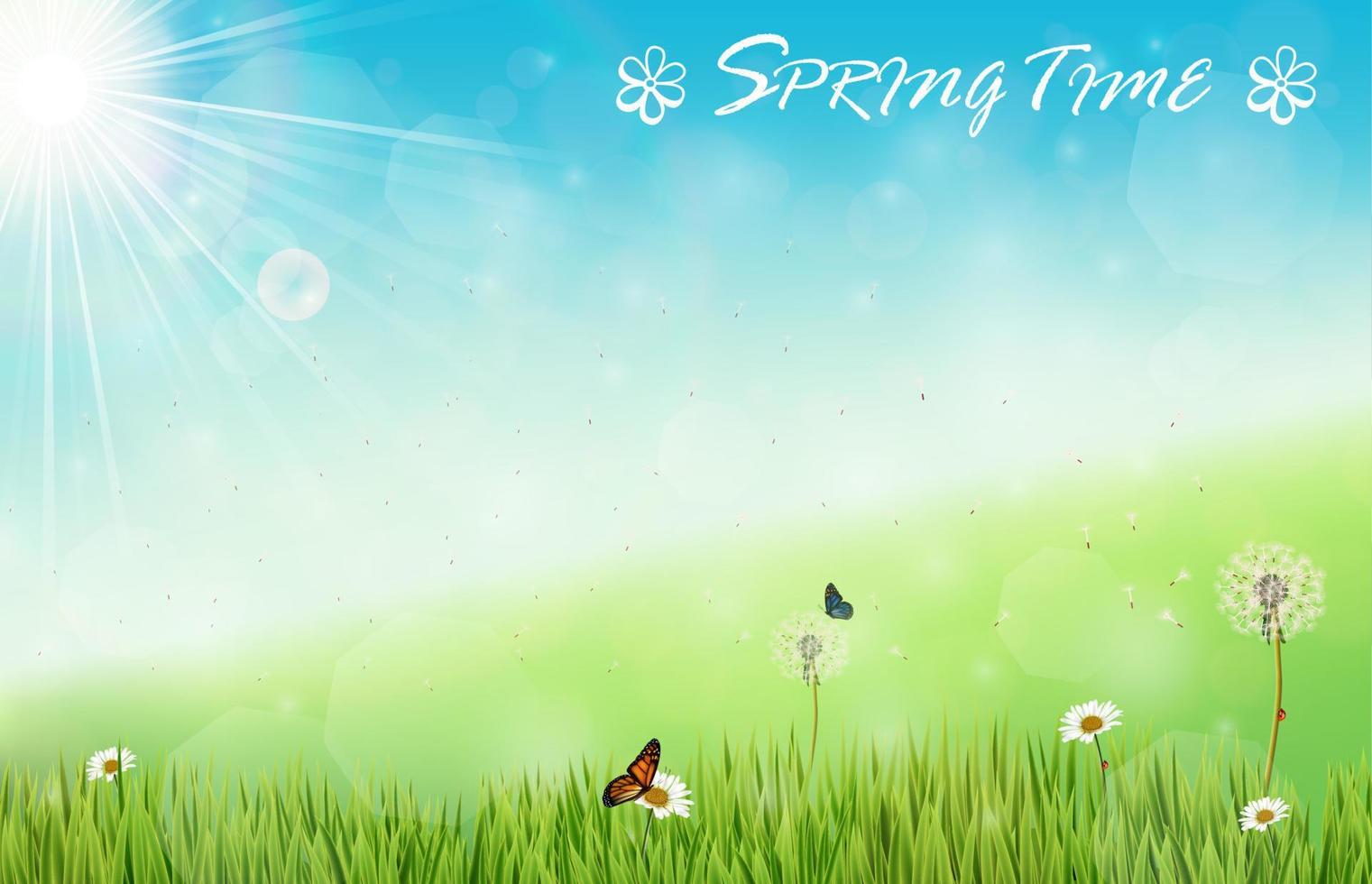 Spring background with butterflies and dragonfly in meadow vector