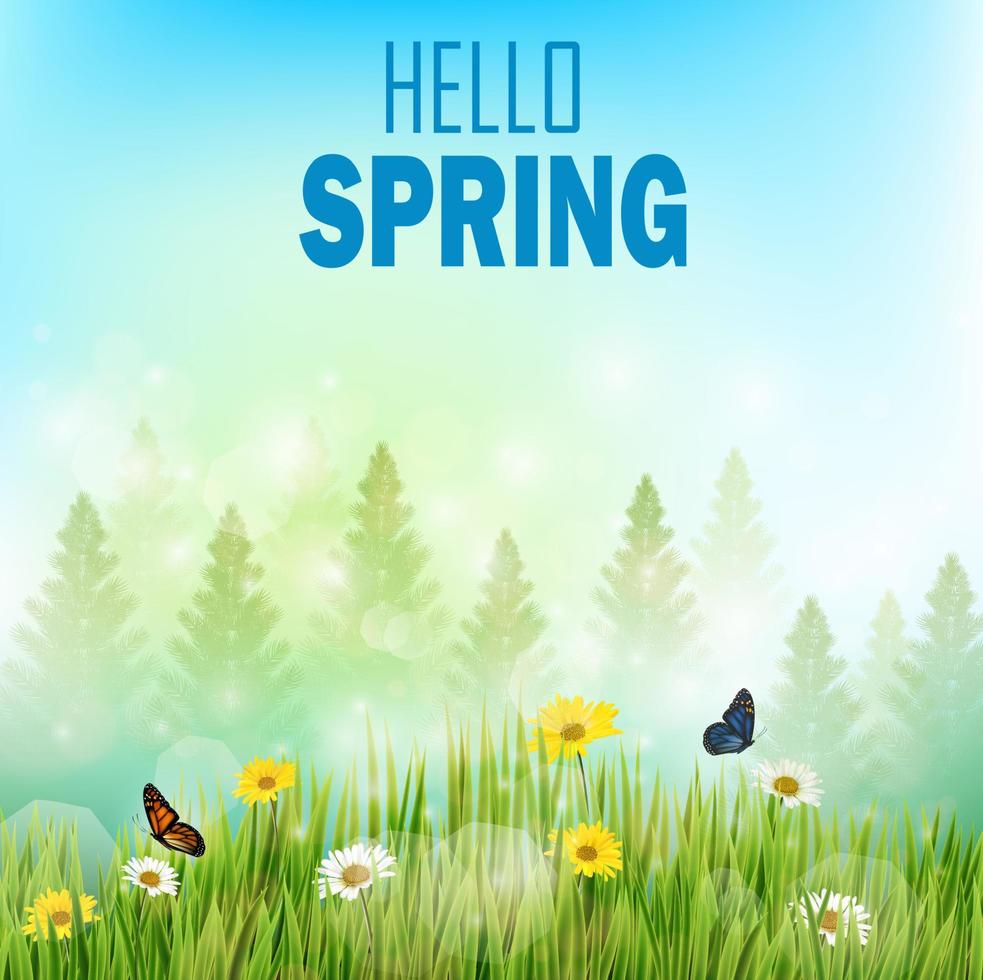 Spring background with flowers and butterflies in meadow and pine trees vector