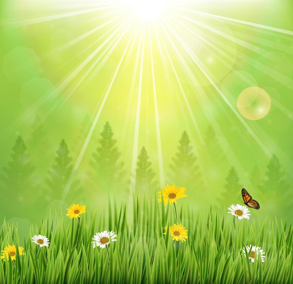 Spring background with flowers and butterflies in meadow and pine trees vector