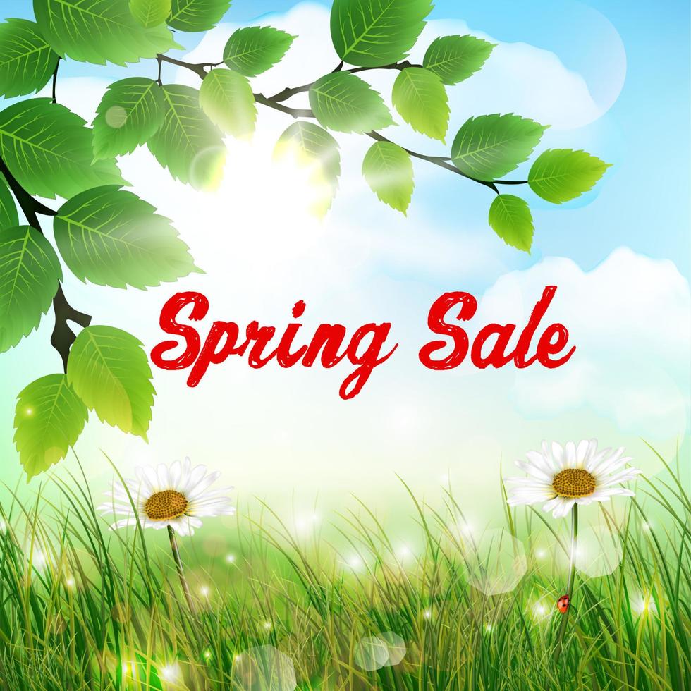 Natural background with word spring sale vector