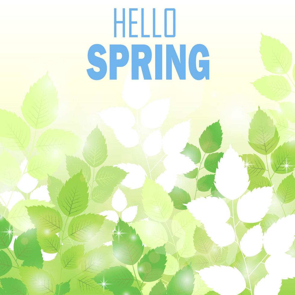 fondo de primavera con hojas verdes frescas vector