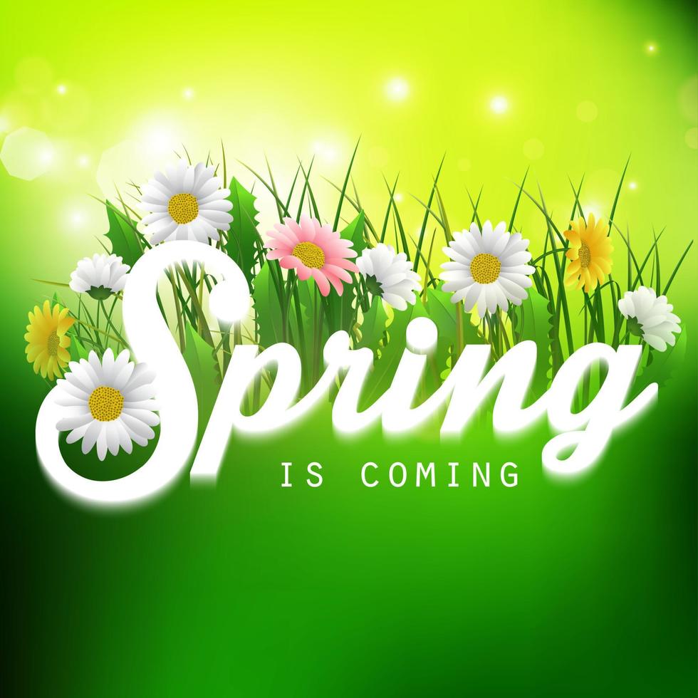 Fresh spring background with grass and flowers vector