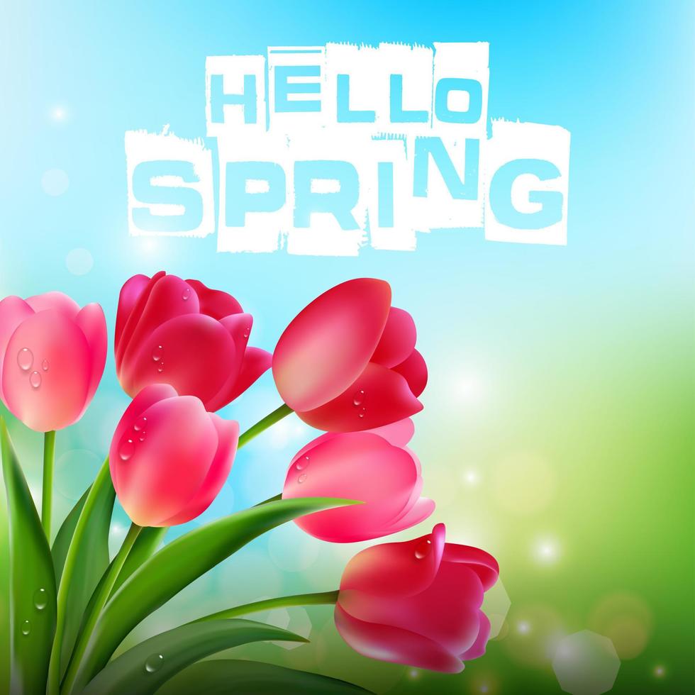 Pink tulips on background blue sky vector