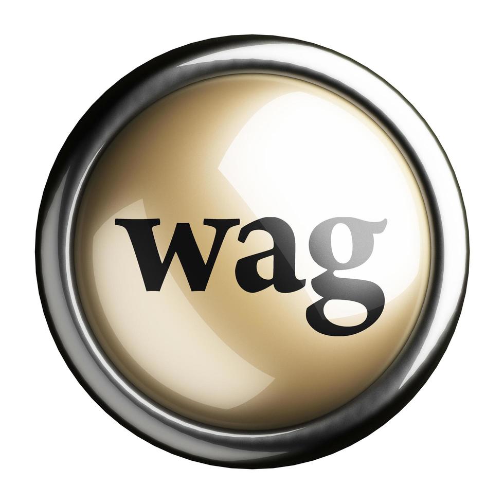 wag word on isolated button photo