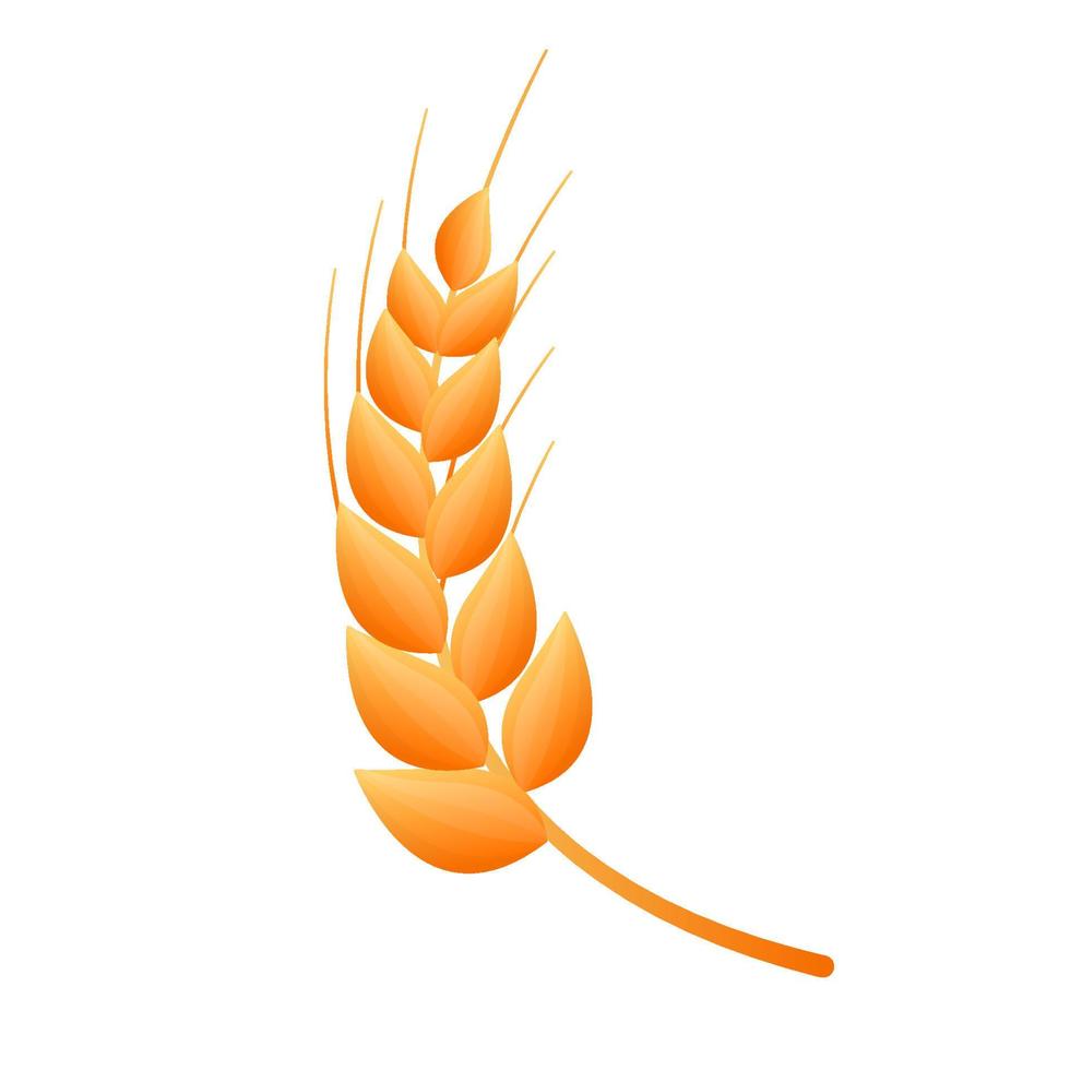 plant wheat cartoon vector illustration isolated object