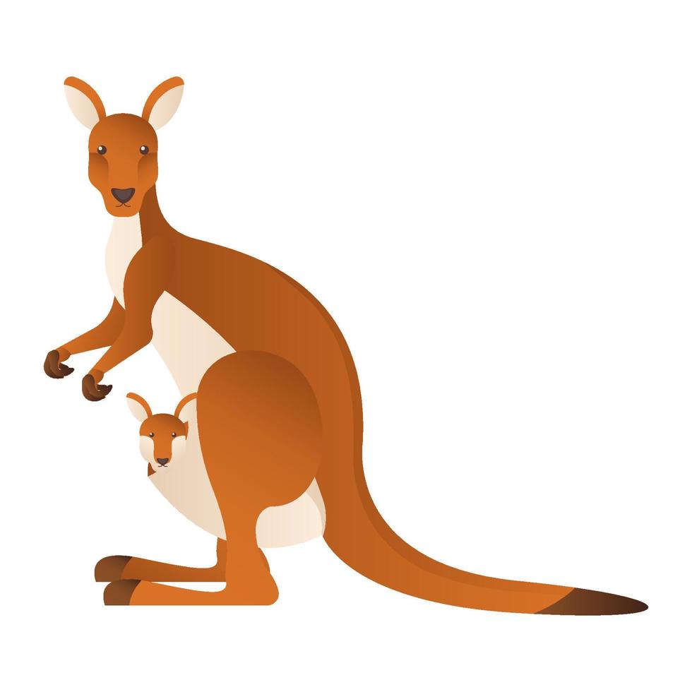 Australian animal kangaroo cartoon vector illustration isolated object