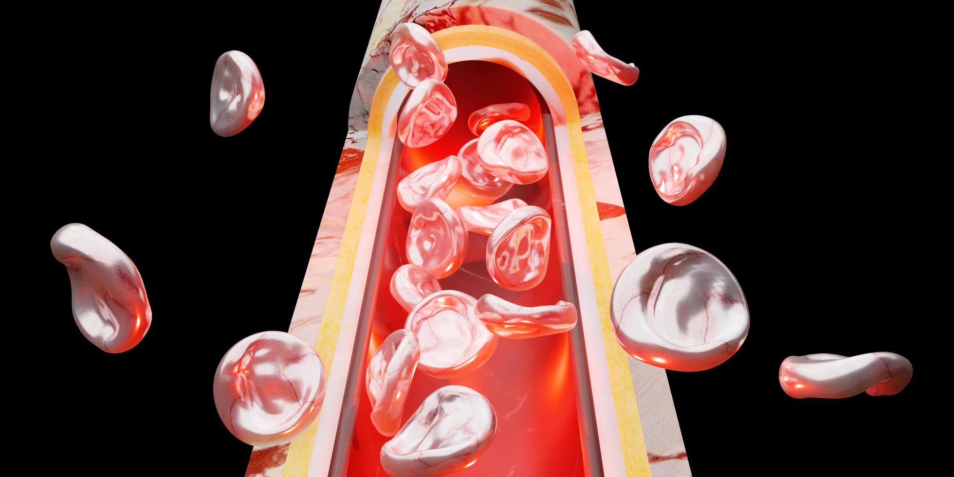 skin layer red blood cells vein vascular surgery 3d illustration photo