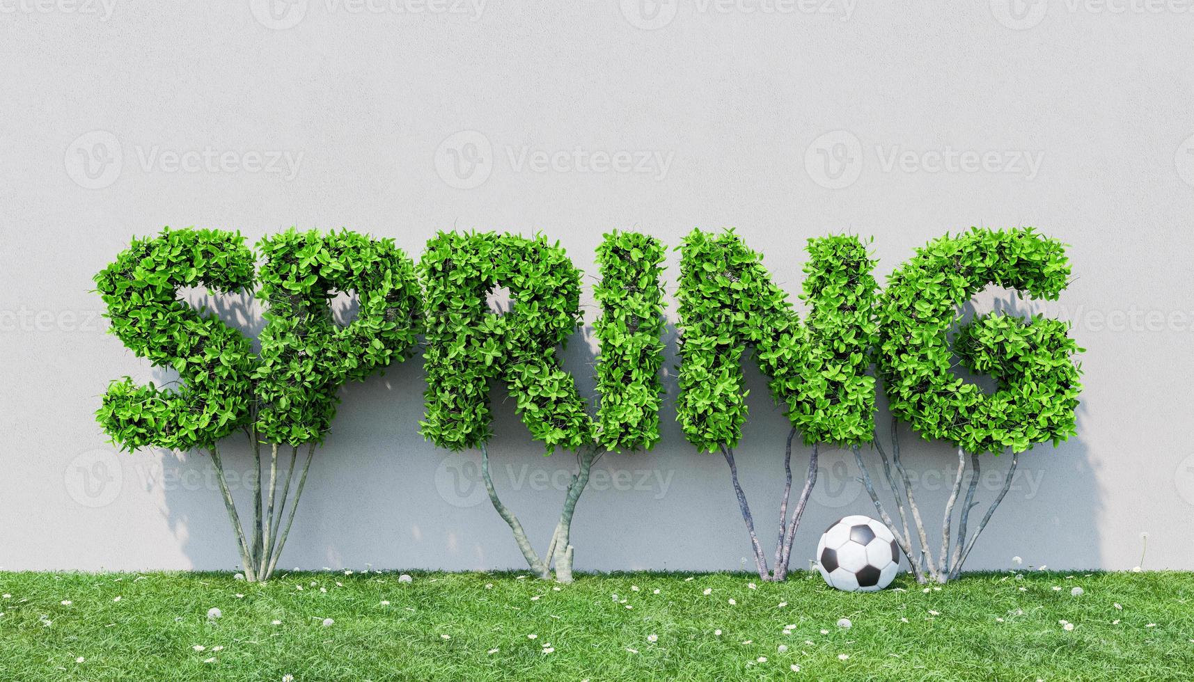bushes sign with the word SPRING on grass and flowers photo