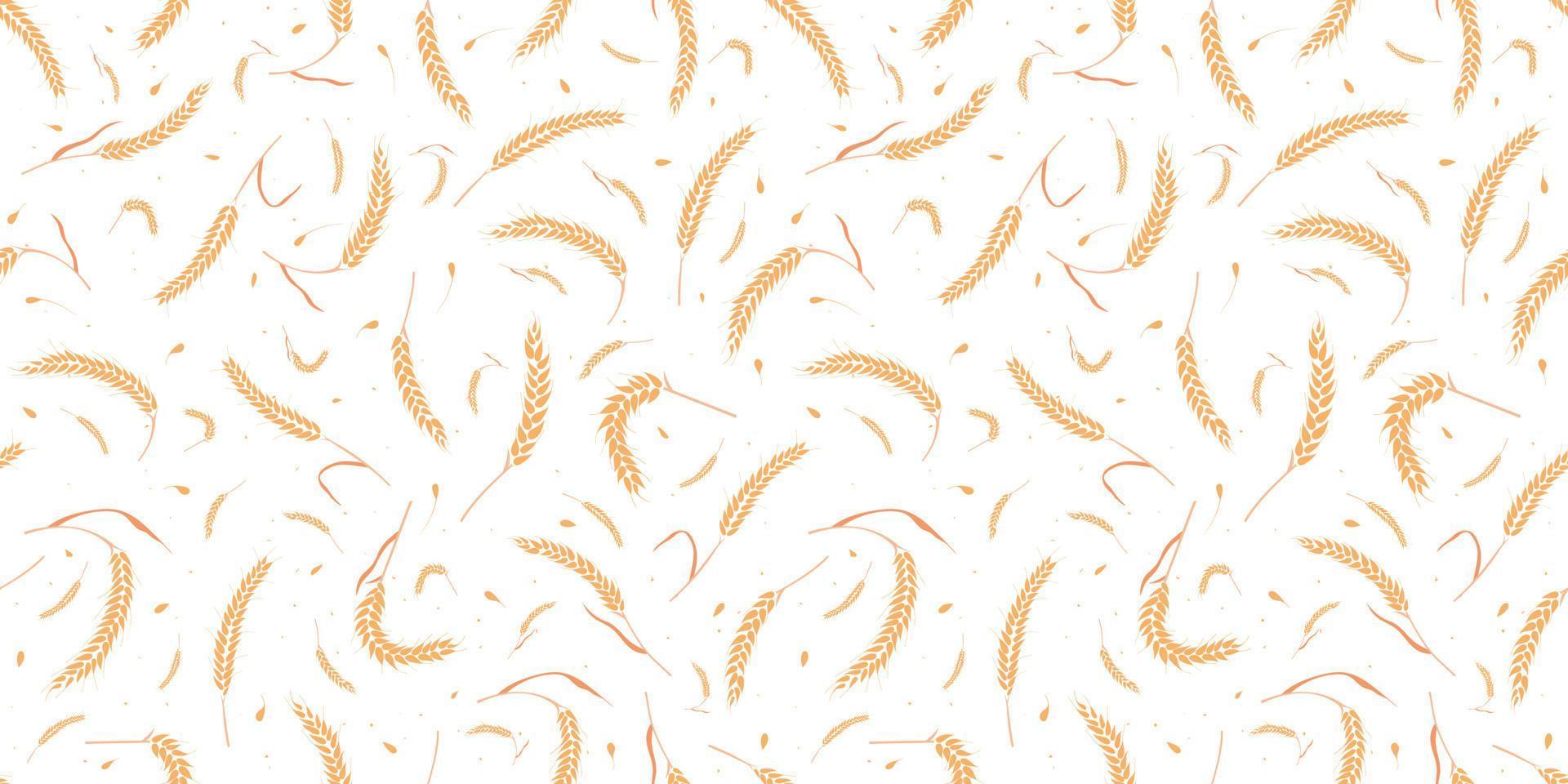 Seamless pattern with whole grain seeds organic, natural ears isolated on white background. vector