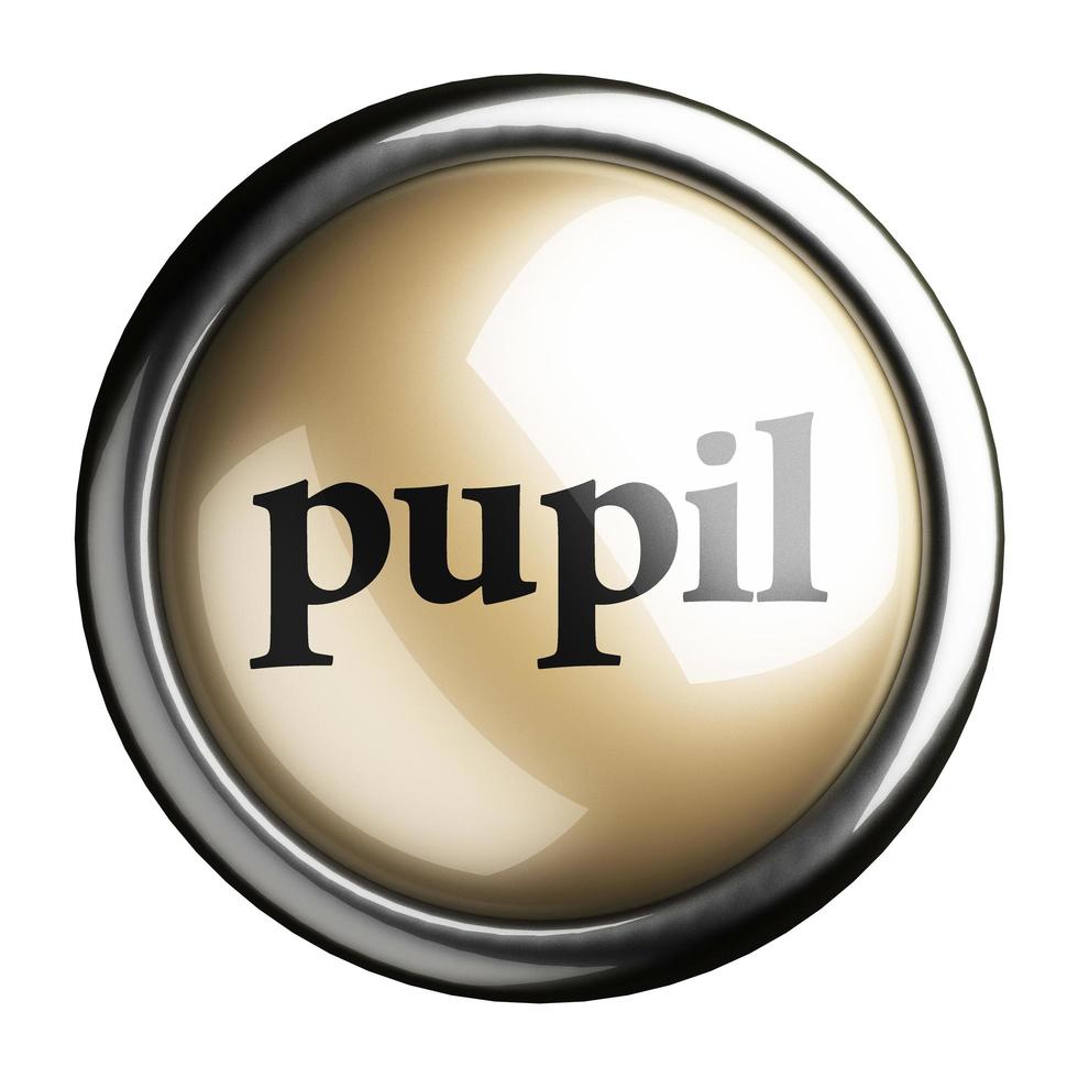 pupil word on isolated button photo