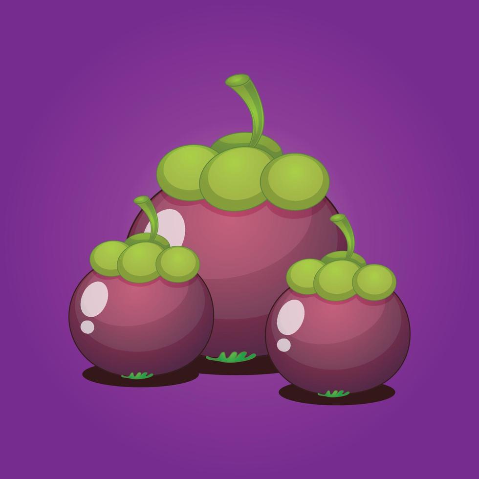 Mangosteen fruit free vector