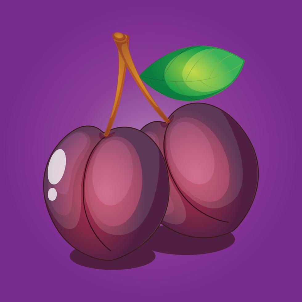Mangosteen fruit free vector