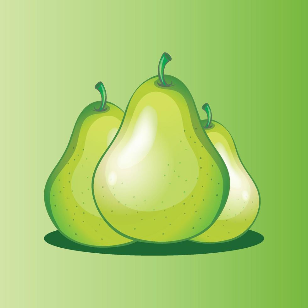 Avocado fruit free vector