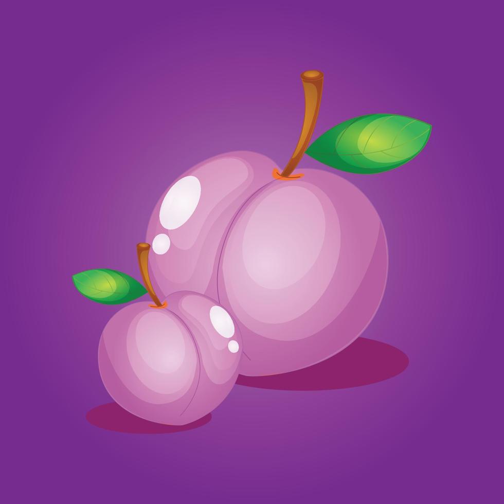 Mangosteen fruit free vector