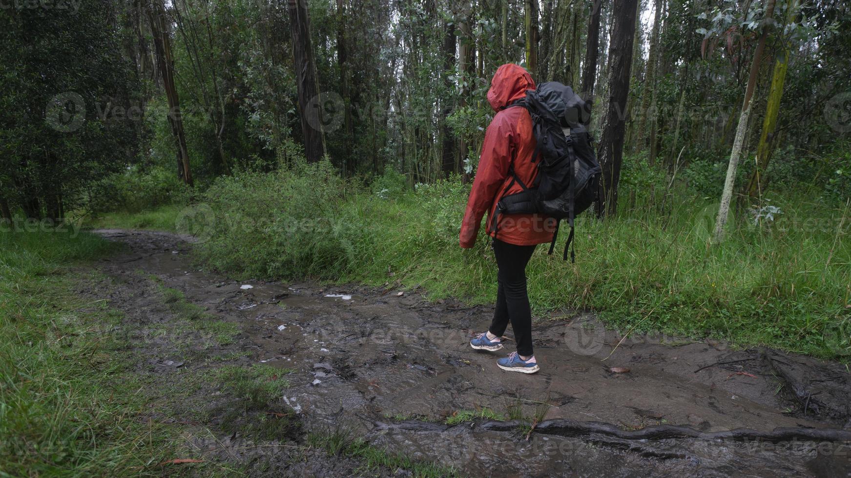 Hispanic woman with black backpack and red waterproof jacket walking on a muddy trail through a forest during the day photo