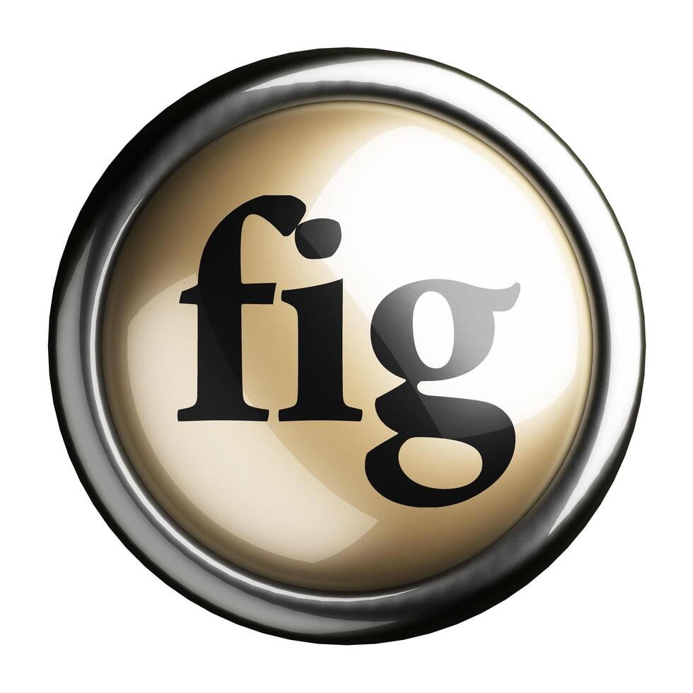 fig word on isolated button 6373611 Stock Photo at Vecteezy
