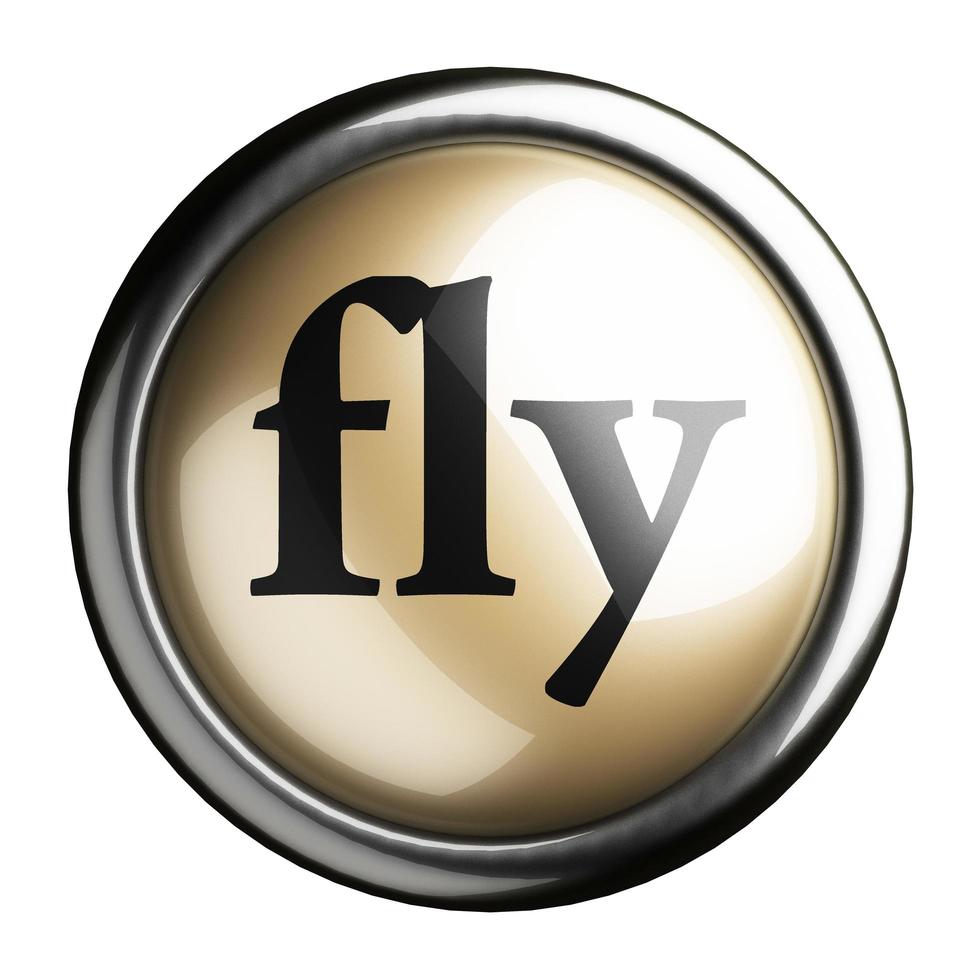 fly word on isolated button photo