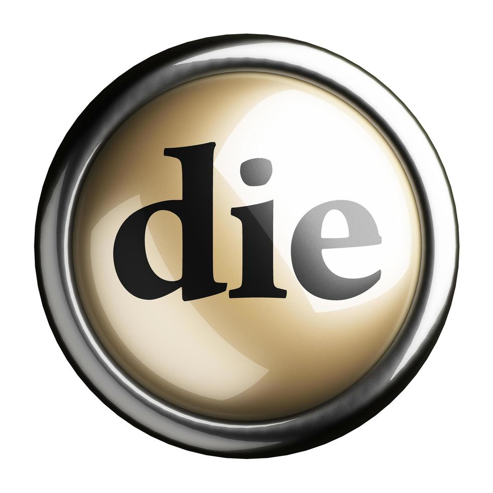 die word on isolated button photo
