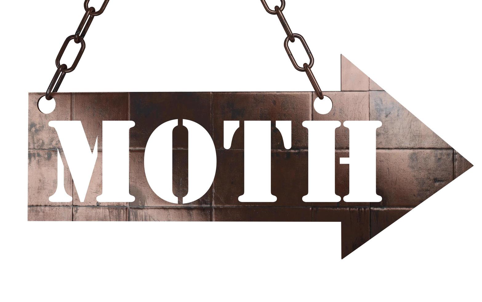 moth word on metal pointer photo