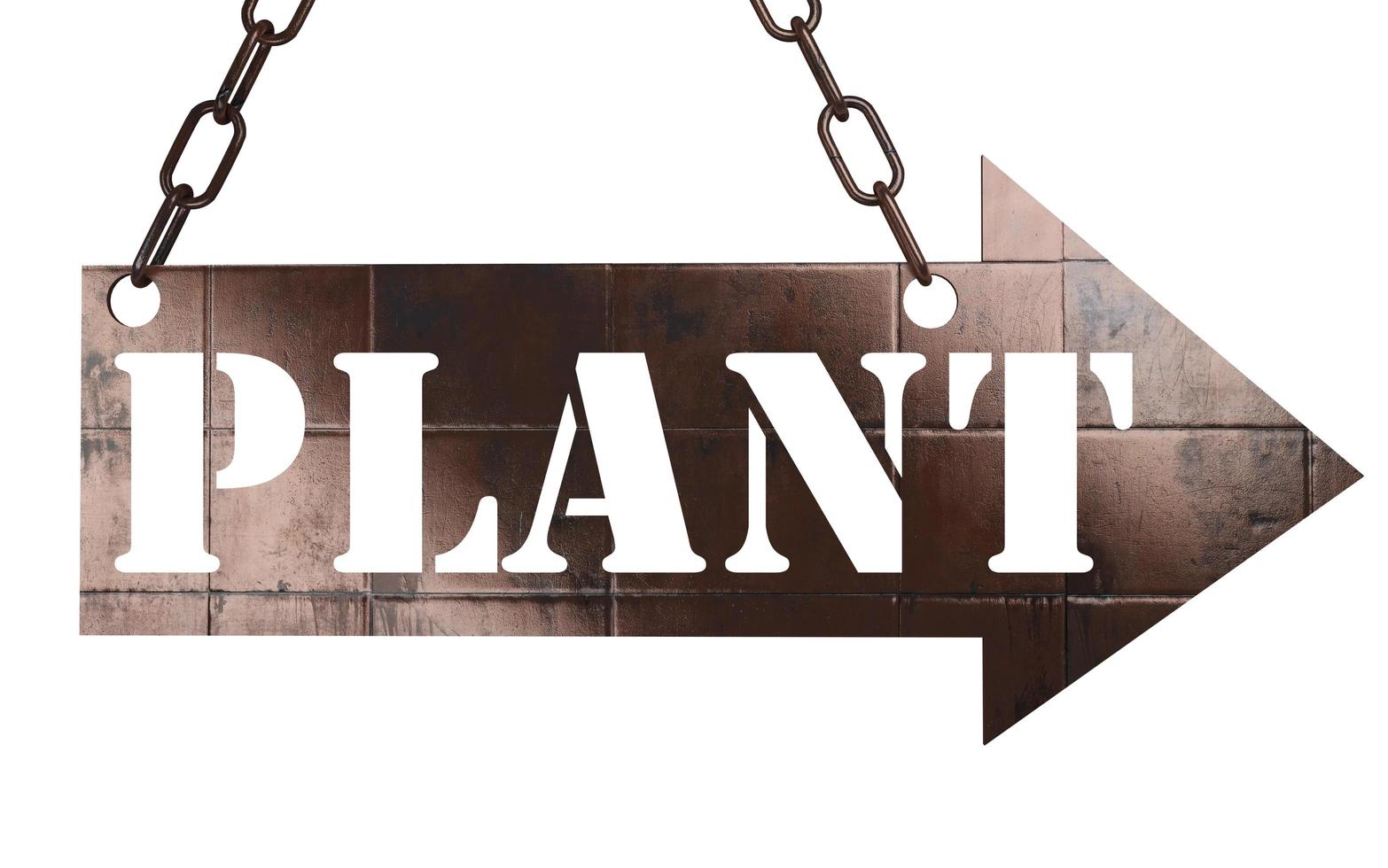 plant word on metal pointer photo