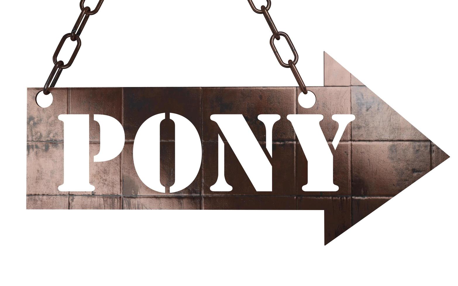 pony word on metal pointer photo