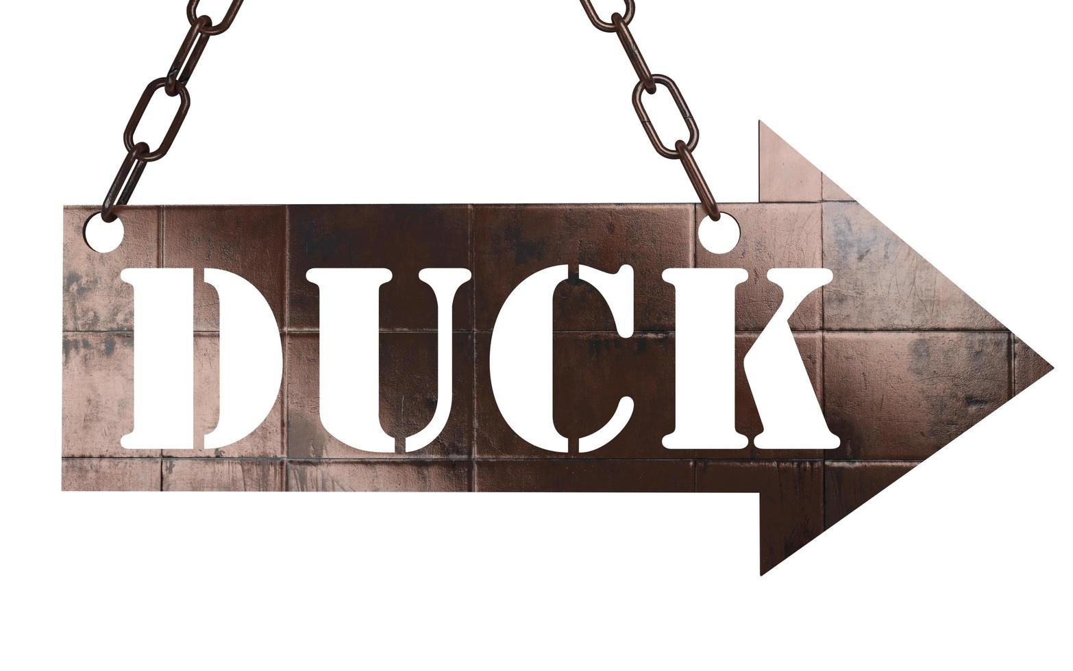 duck word on metal pointer photo